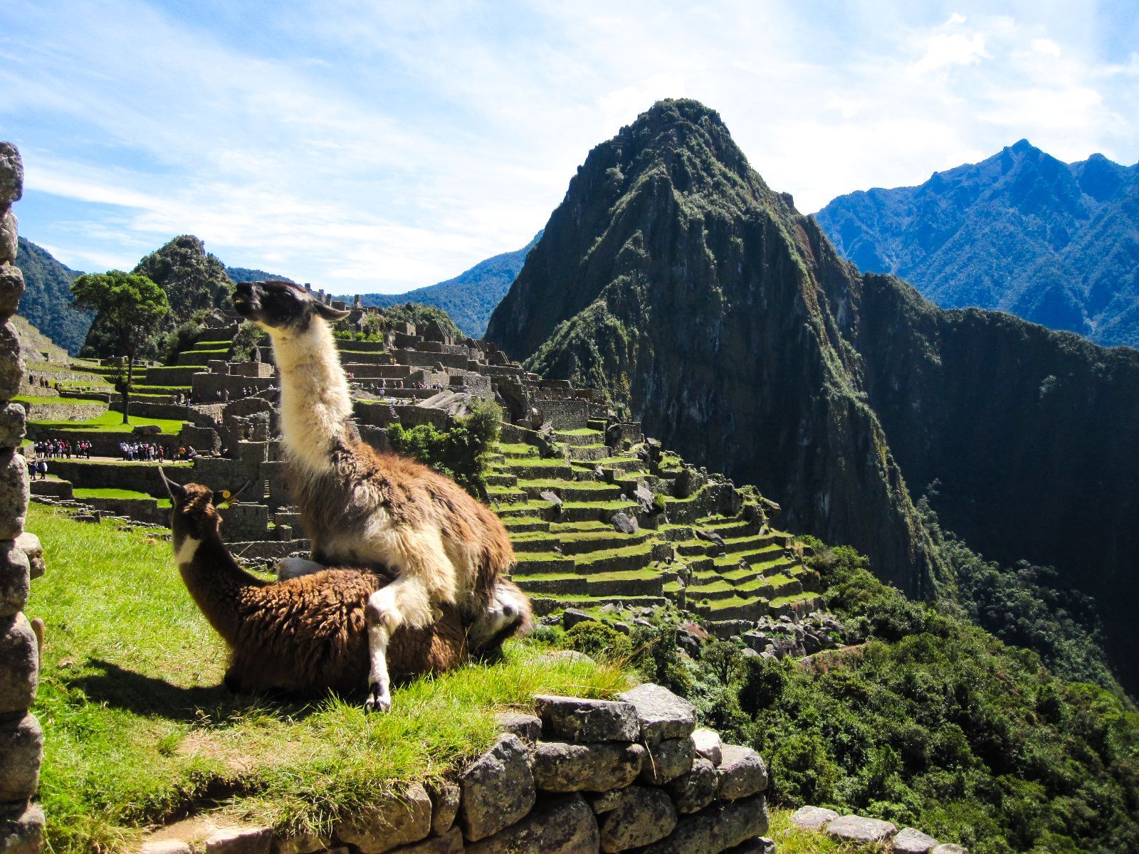 I was browsing the web for Machu Picchu wallpapers when suddenly ...
