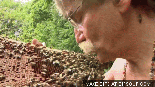 Overly manly man talking to his bees