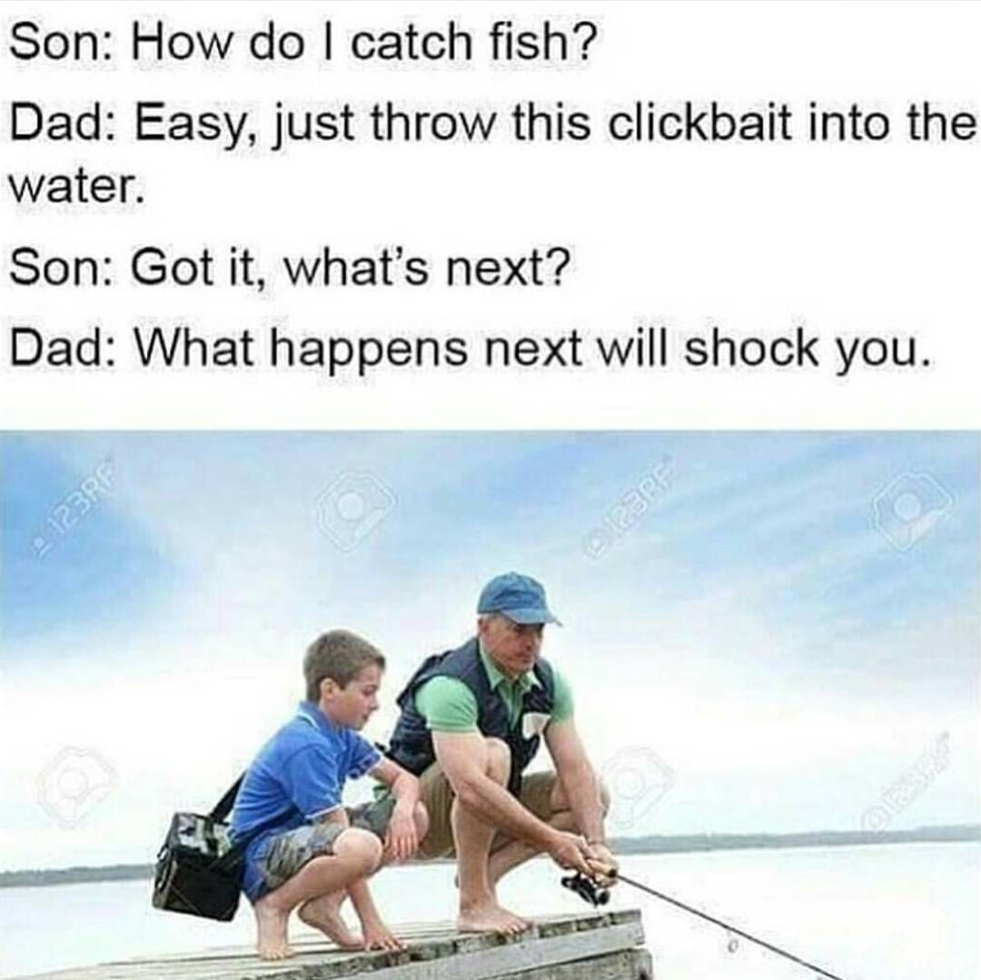 Bait