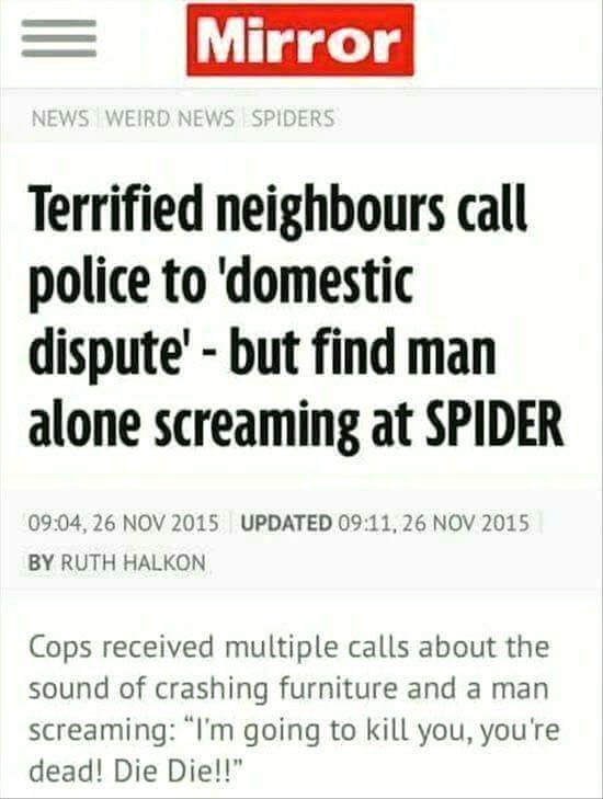 Terrified neighbours call police to 'domestic dispite' - but find man alone screaming at SPIDER