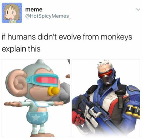 Bvolution