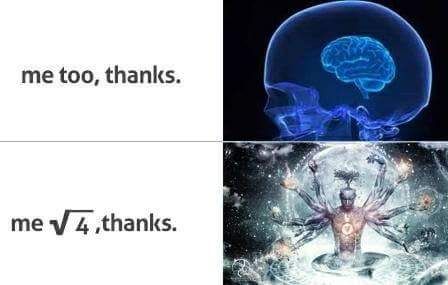 Root