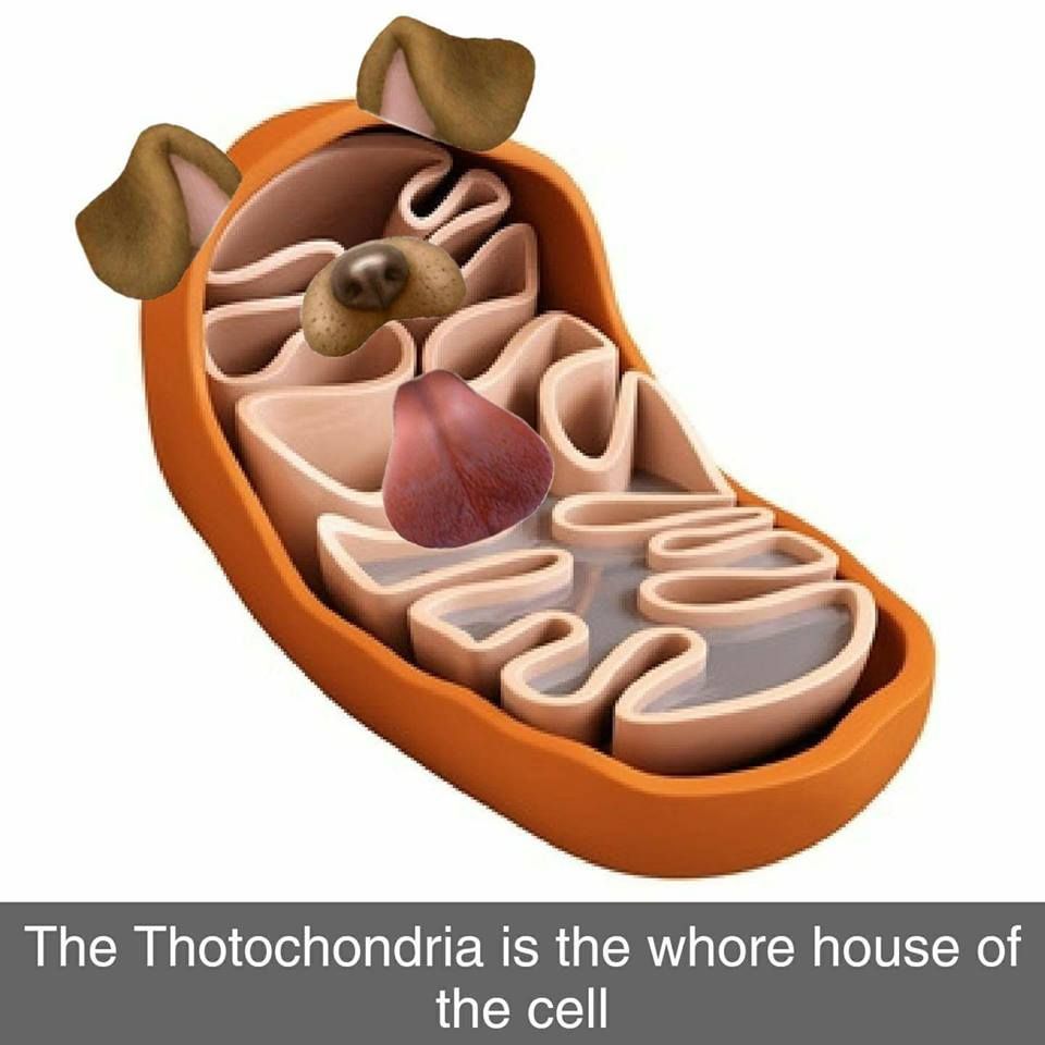 B A N I S H E D
