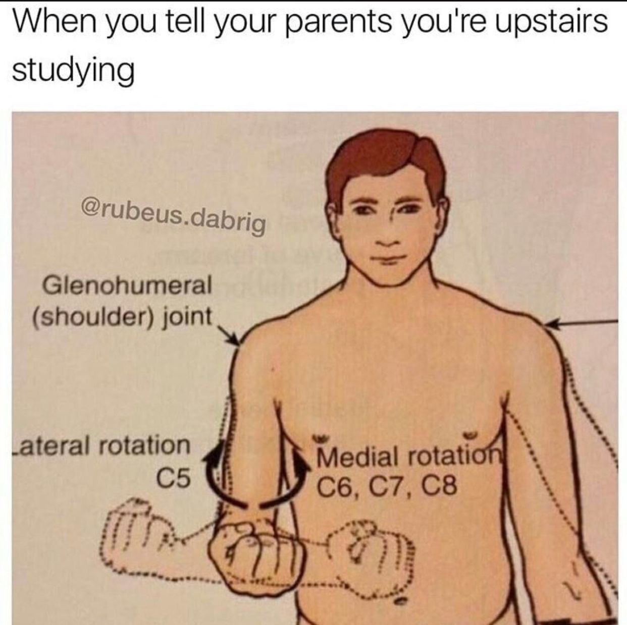 Camed