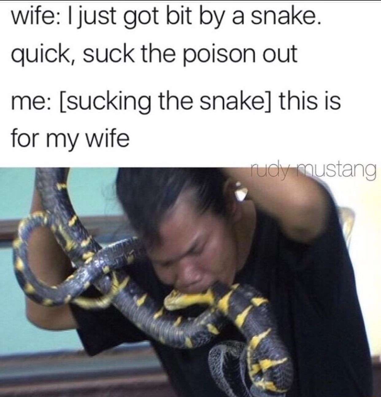 What Is “wife”?
