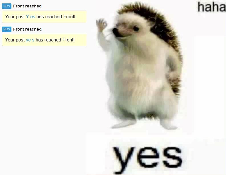 i dont need much to be happy // also: how to do titles