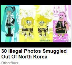 Excuse me sir, but your waifu is an illegal immigrant