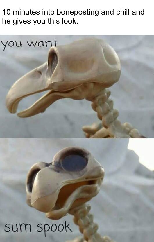 ye boi
