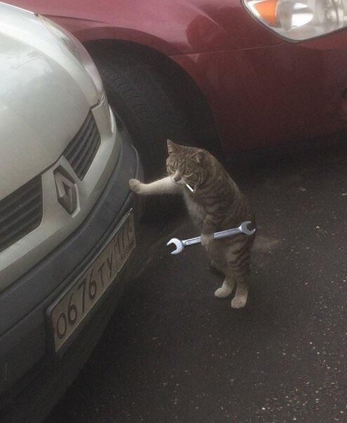Alright, let's get that engine purrin again.