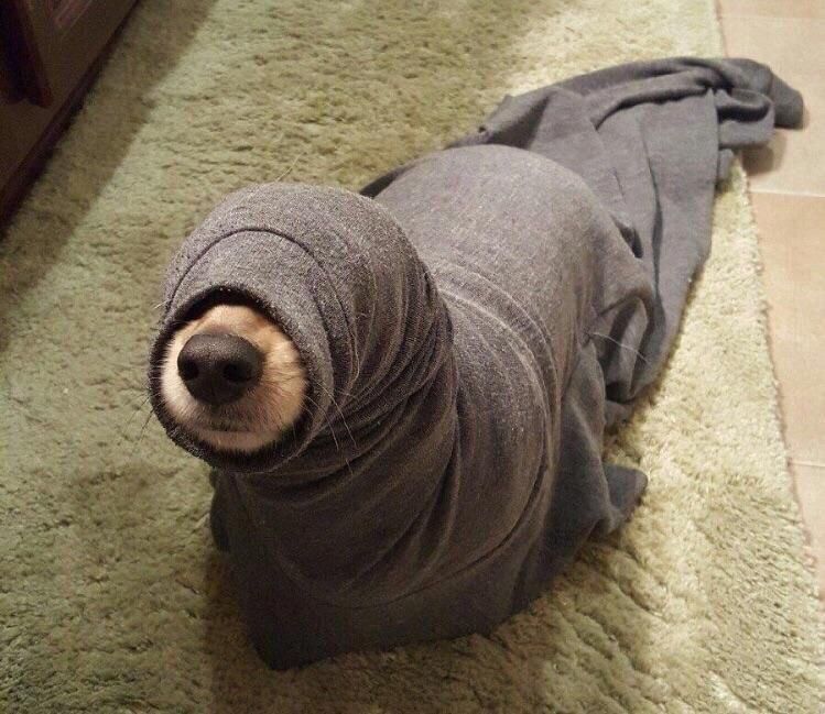 I’m never ordering a seal from ebay again.