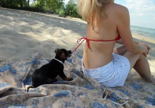 This Dog Has Been Trained Well!