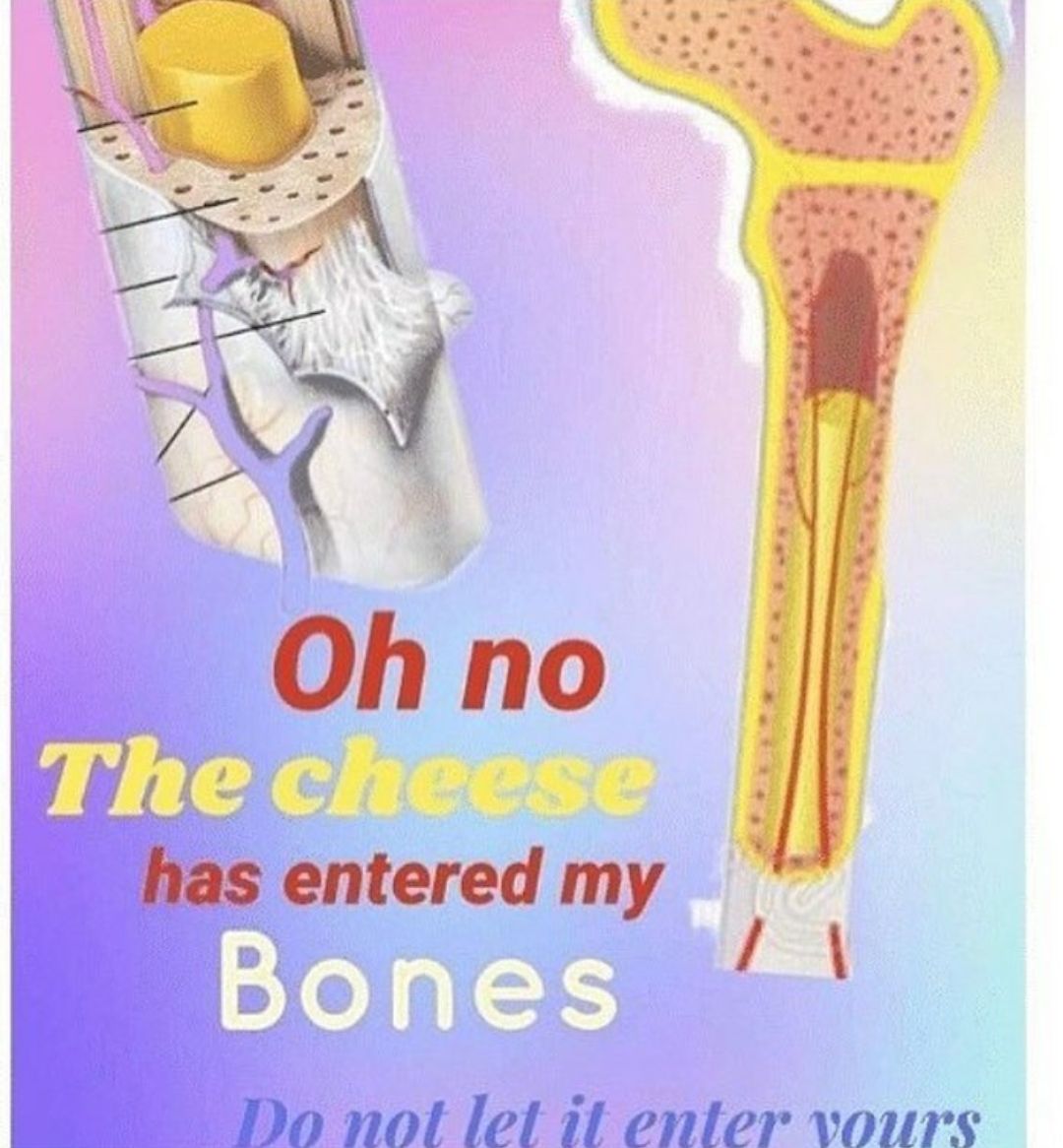 C H E E S E L E S S