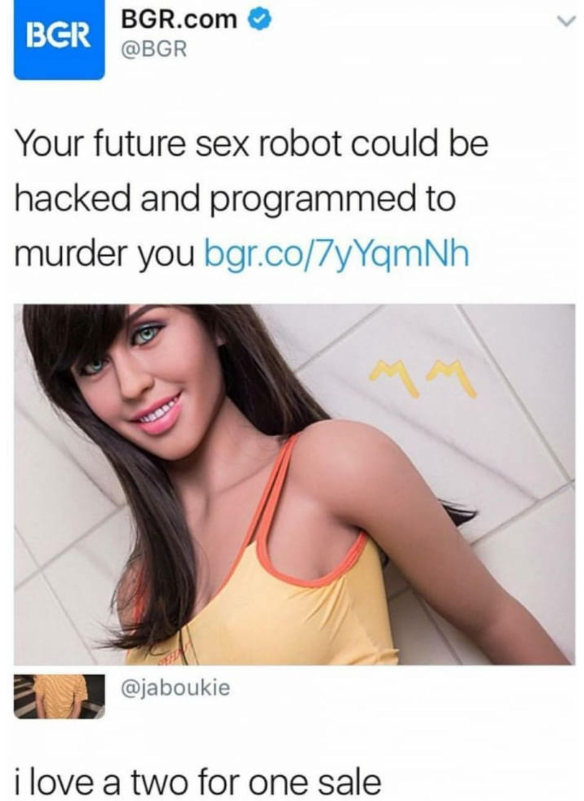Sex robot for hlolers