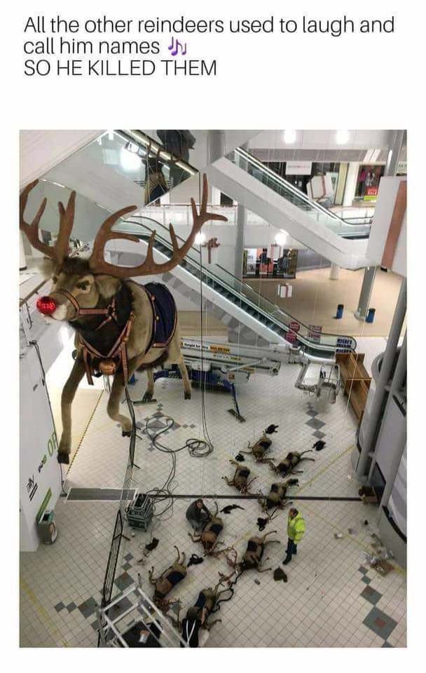 All of the other reindeer, used to laugh and call him names....... So the other reindeer had a little accident.