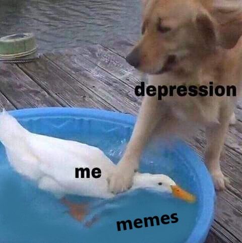 memes are better than seeing a therapist.