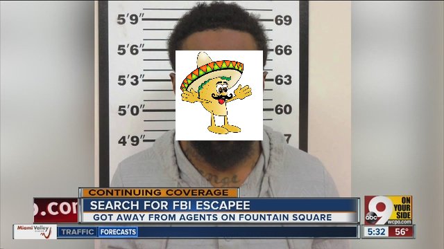 Taco's has escaped custody. Be on the lookout!