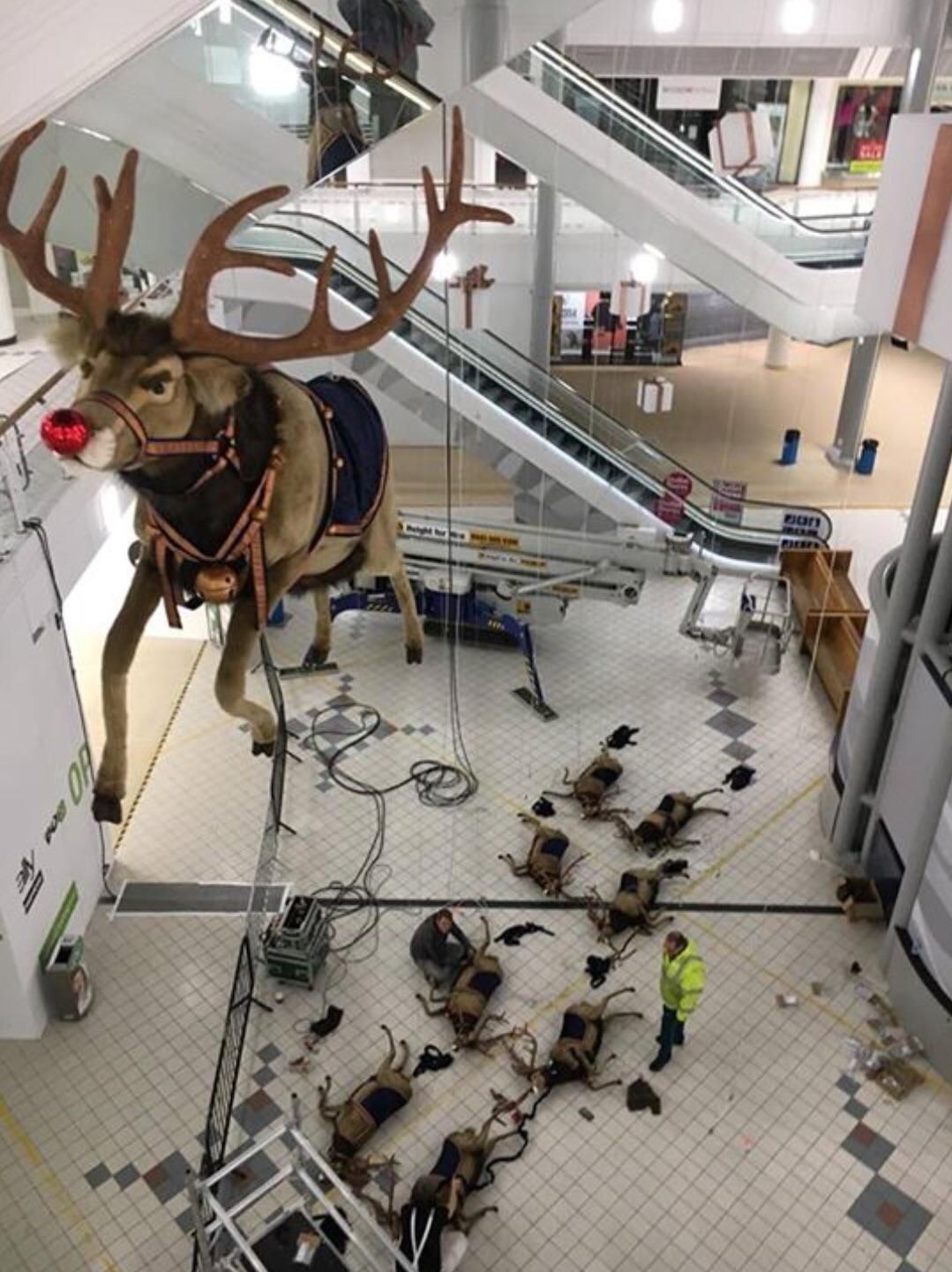 All of the other reindeer used to laugh and call him names: So he murdered them....