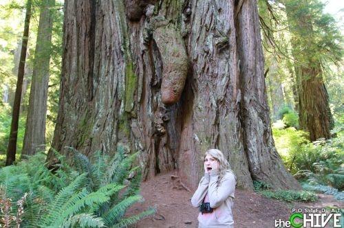 Pfffttt.. I've Seen Bigger!