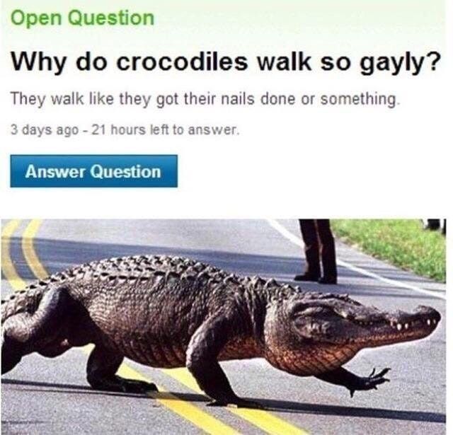 Roses are red, I masturbate daily
