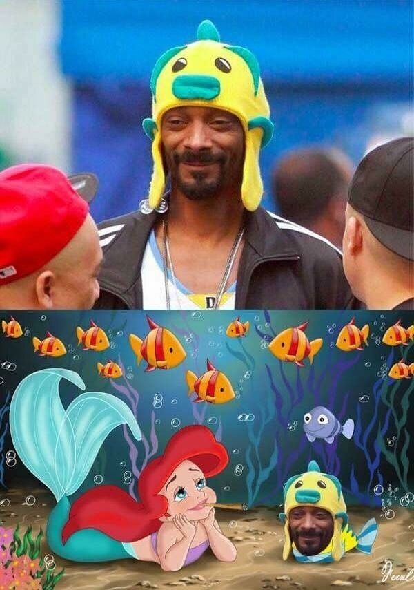 Snoop fish