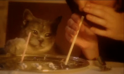 cats