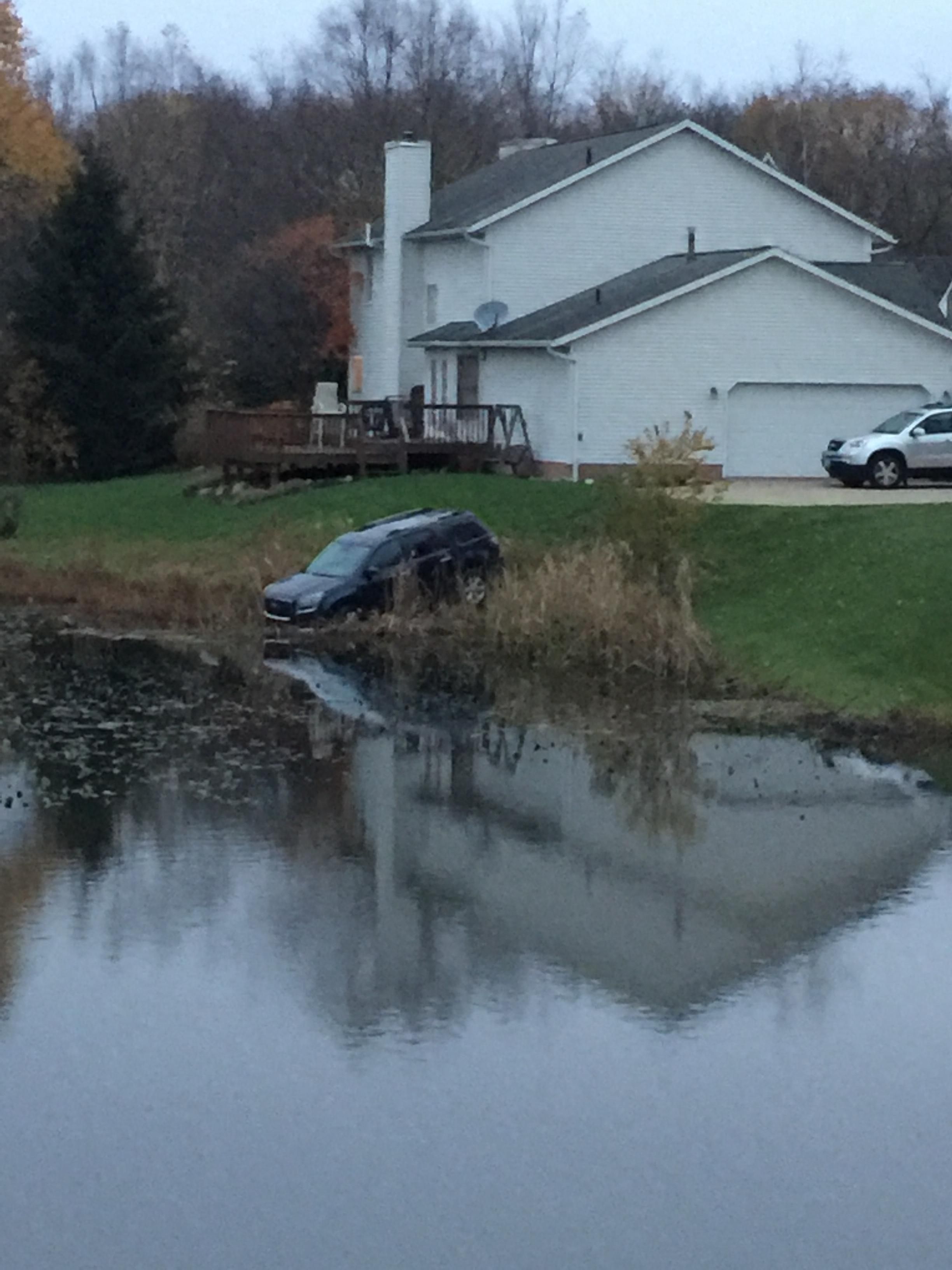 We’re truly witnessing something rare, as the wild SUV takes a drink out of the pond. It has traveled many miles to quench its thirst.