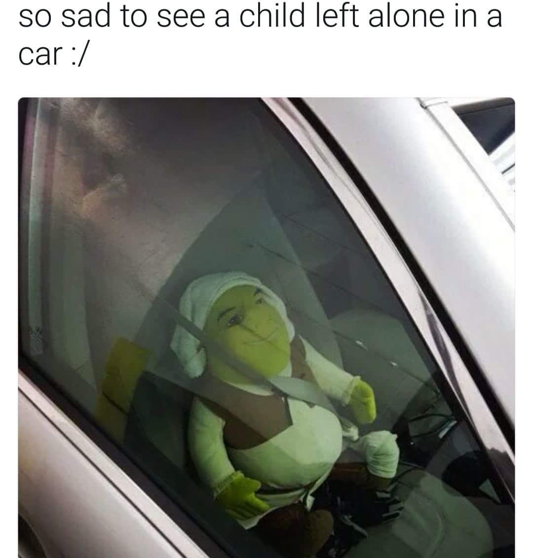 the world is gonna roll me