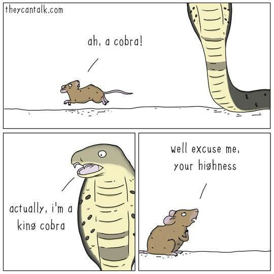 yes