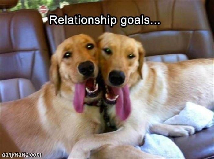 Modern Day Relationship Goals
