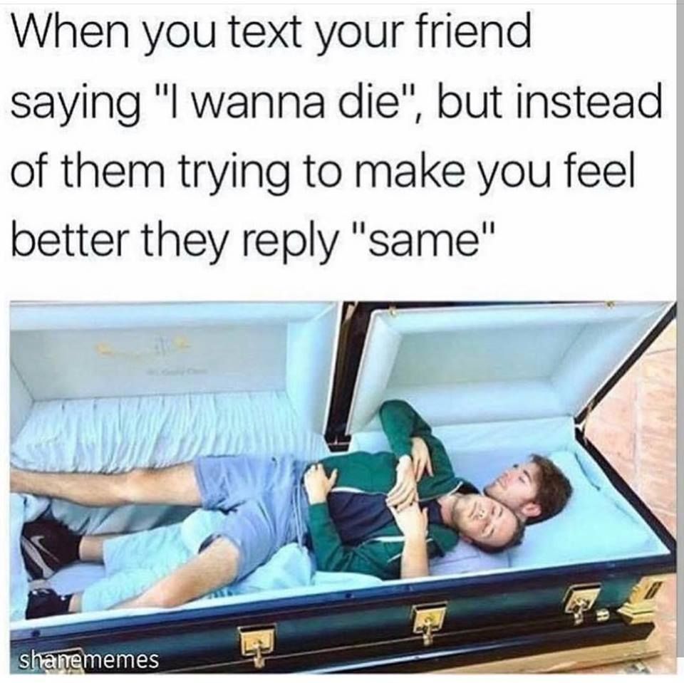 wholesome meme