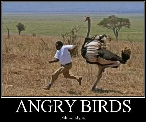 Angry birds