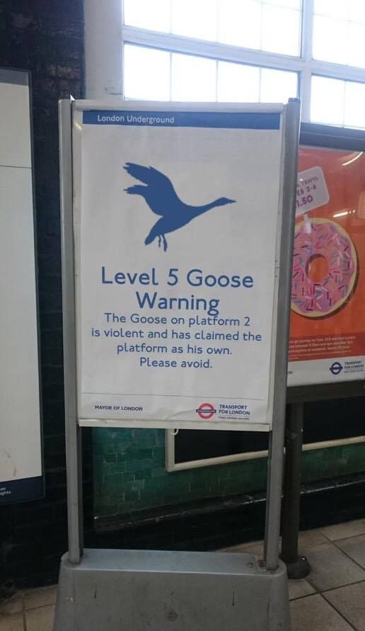 Meanwhile, in London.....