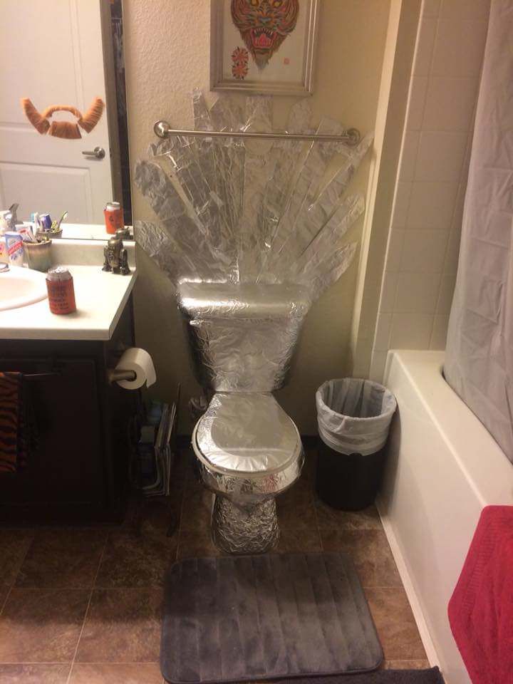 Came home from to find my stoner roomate had made our toilet a throne.