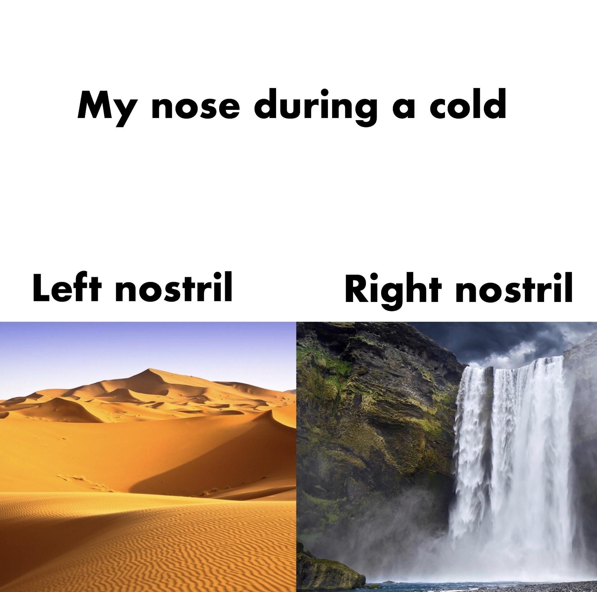 My nose during a cold...