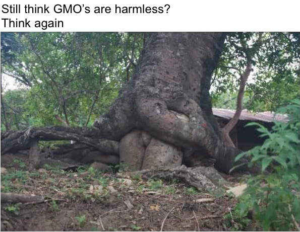 Stay woke