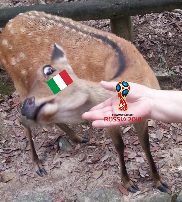 Forza