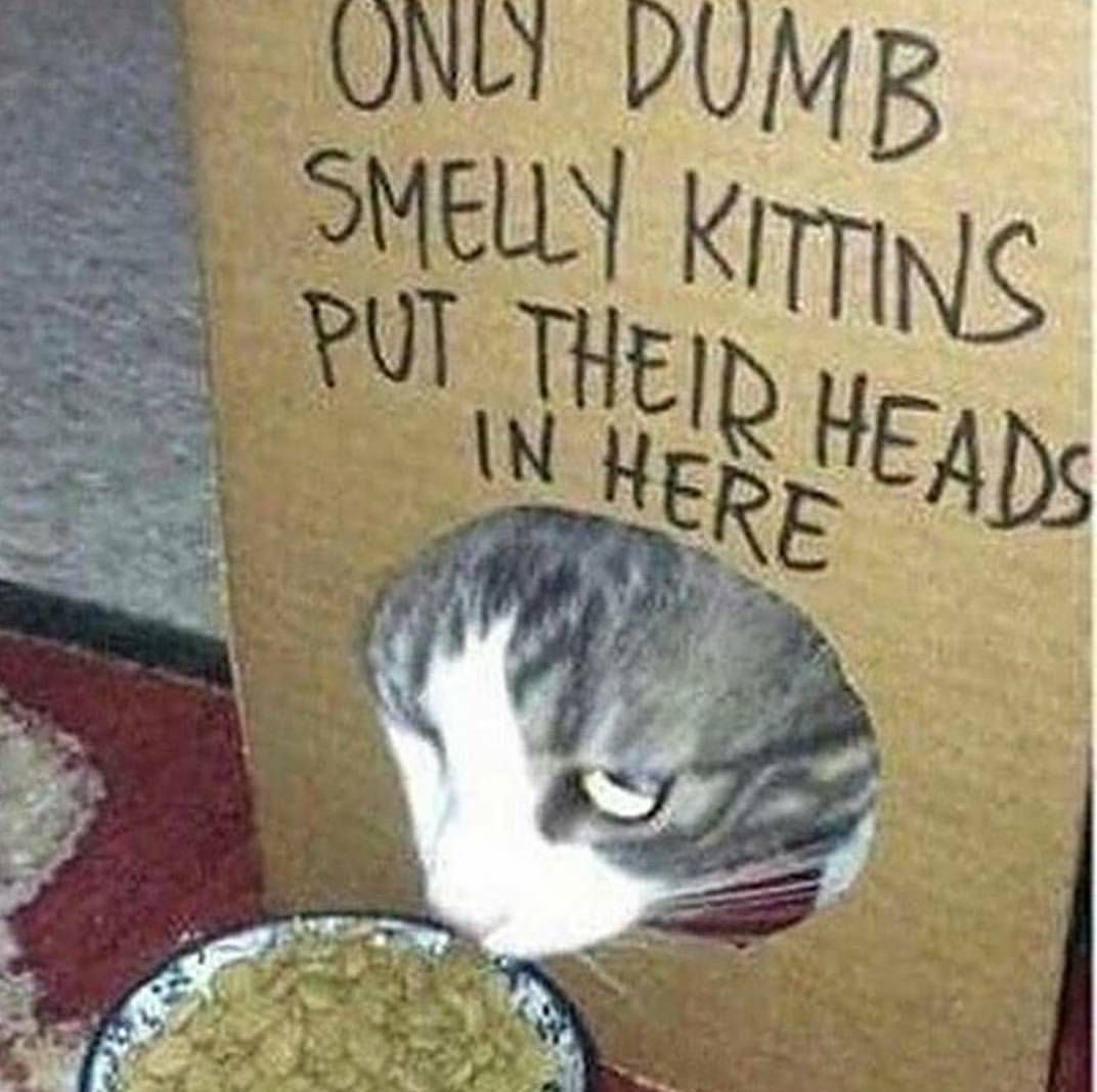 Dumb
