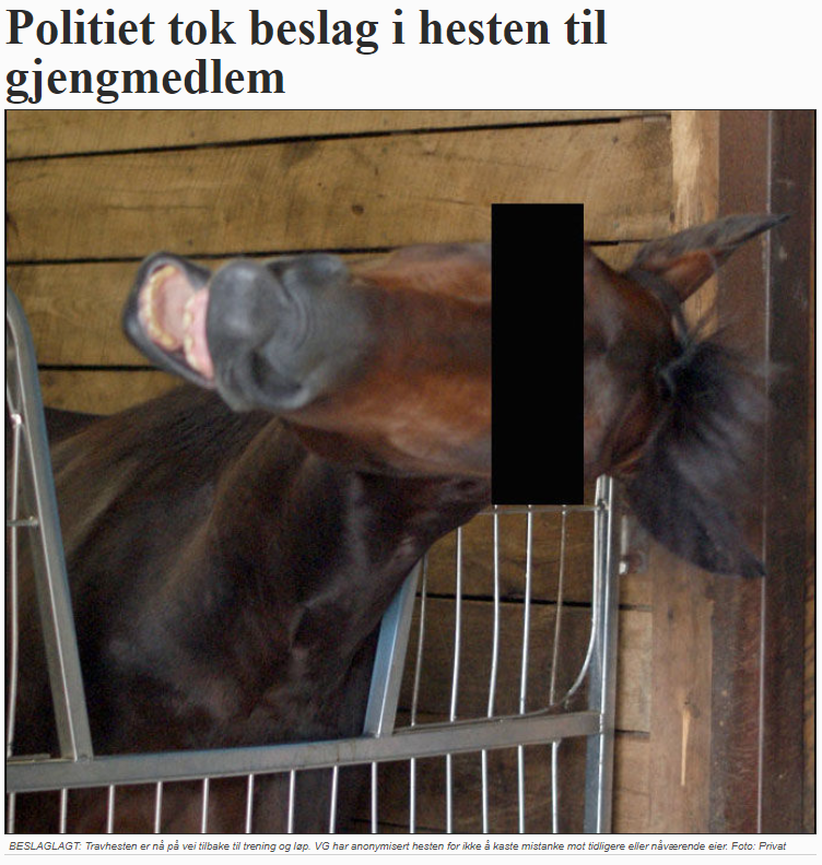 The police confiscated a gang member's horse. This was the pic used in a newspaper.