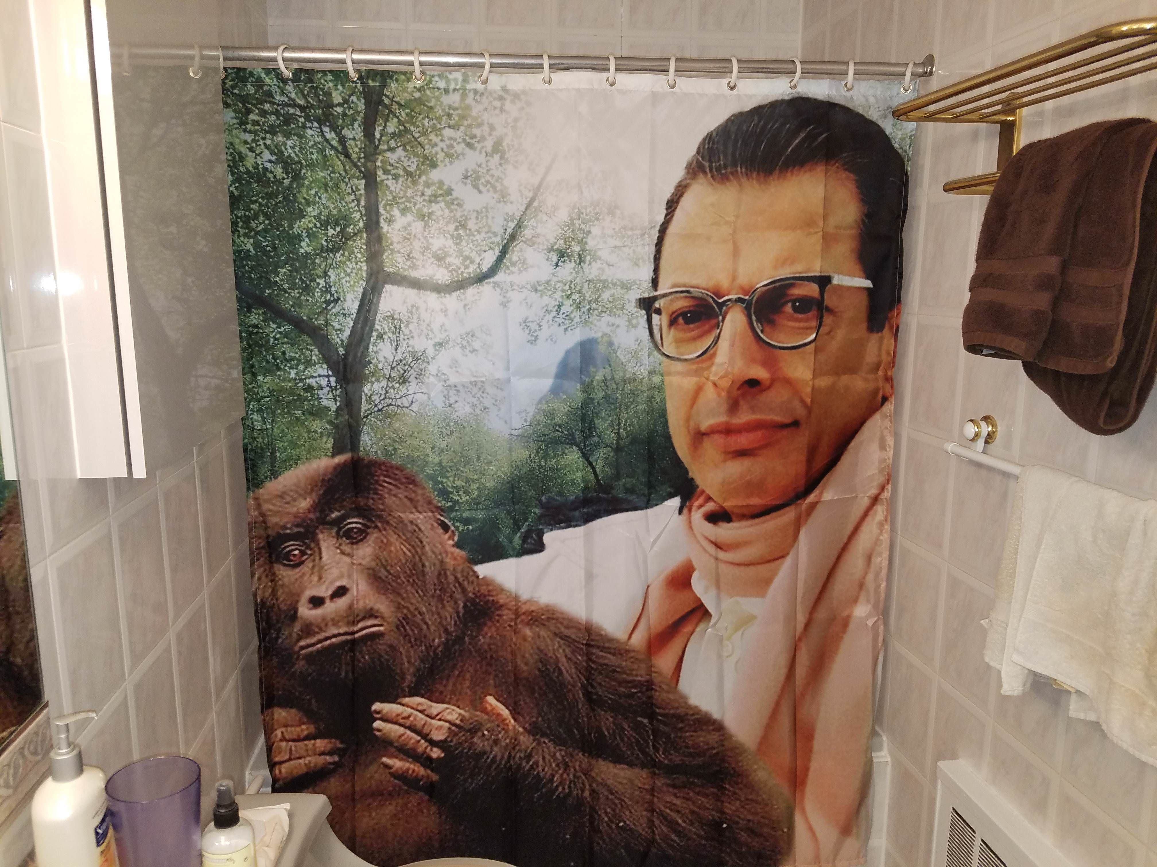 So we got a new shower curtain...