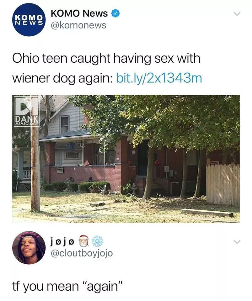 Boi