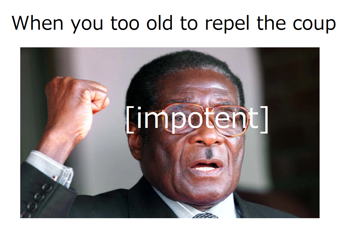 Mugabe (1924 - 2017)