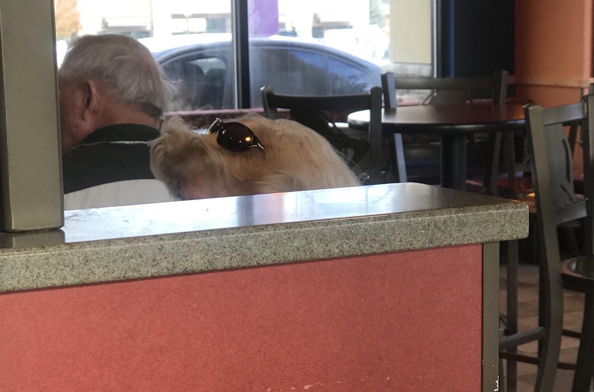 Tell me why I thought this lady’s hair was a dog wearing sunglasses.