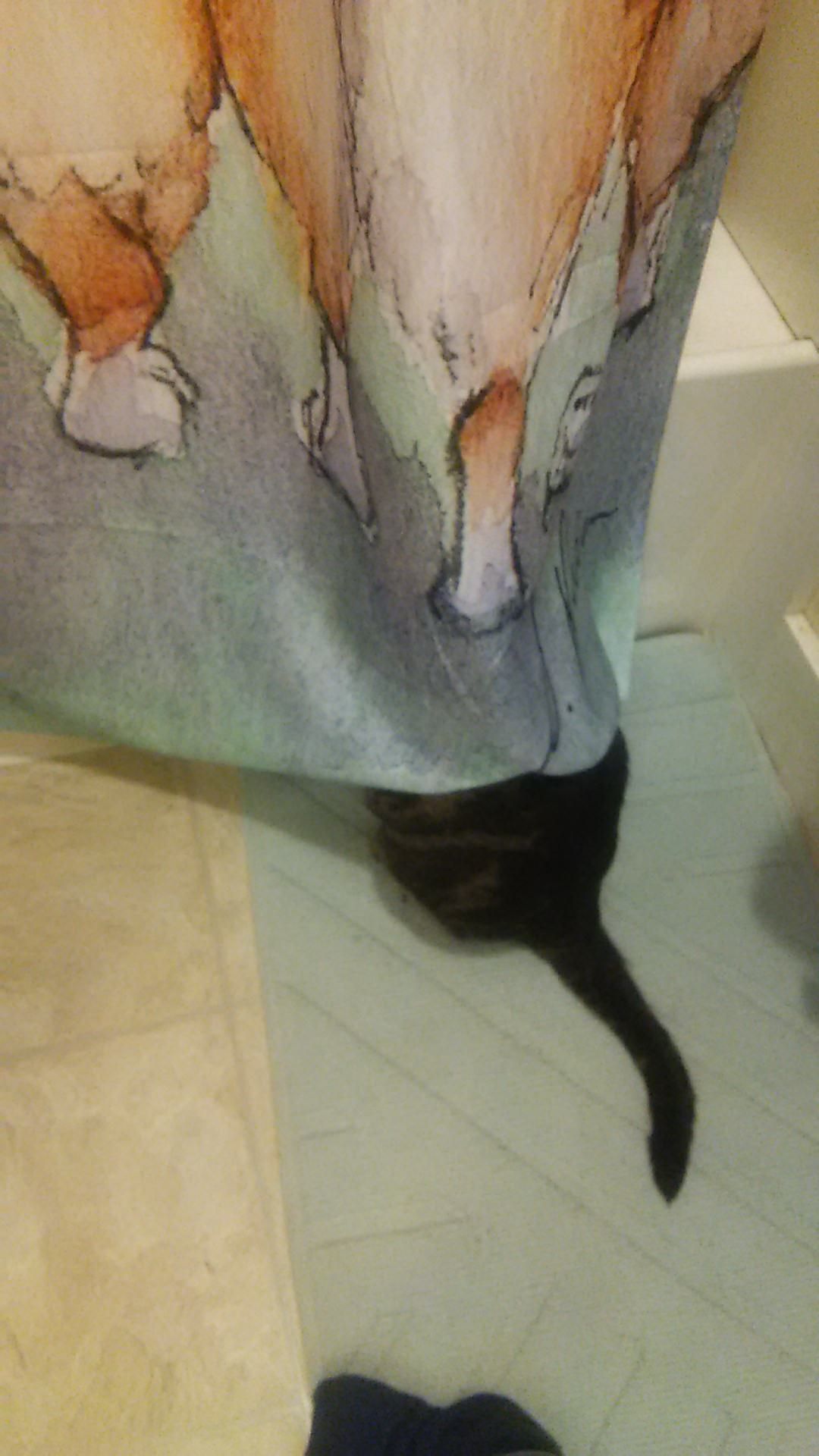 My pervert cat is watching my girlfriend take a shower.