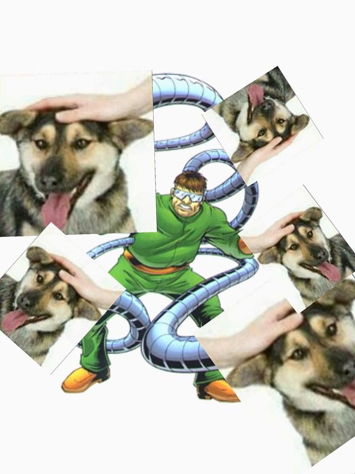 Metaposting