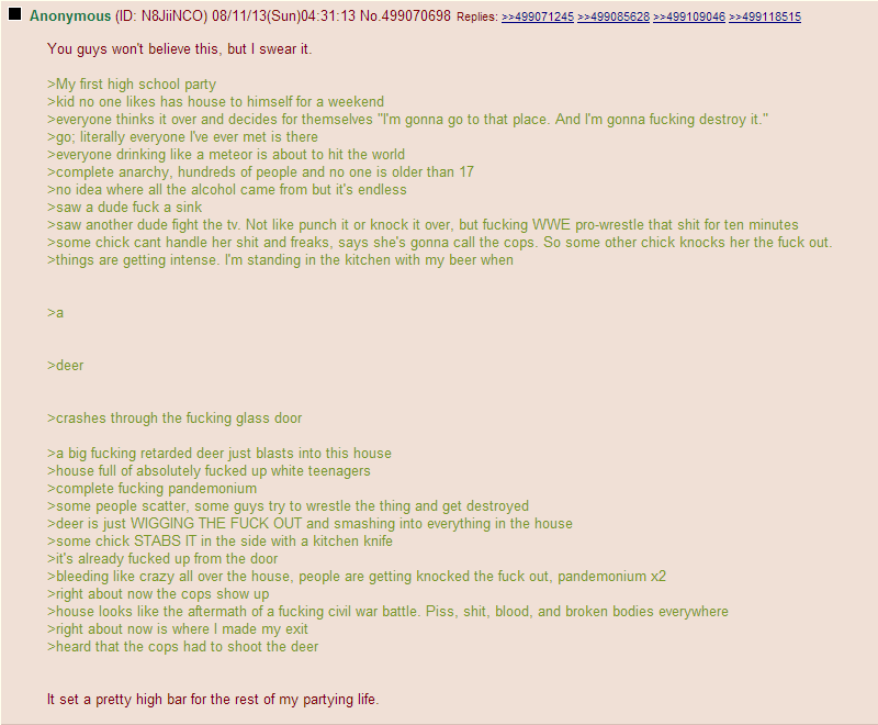 Anon Goes To A High School Party