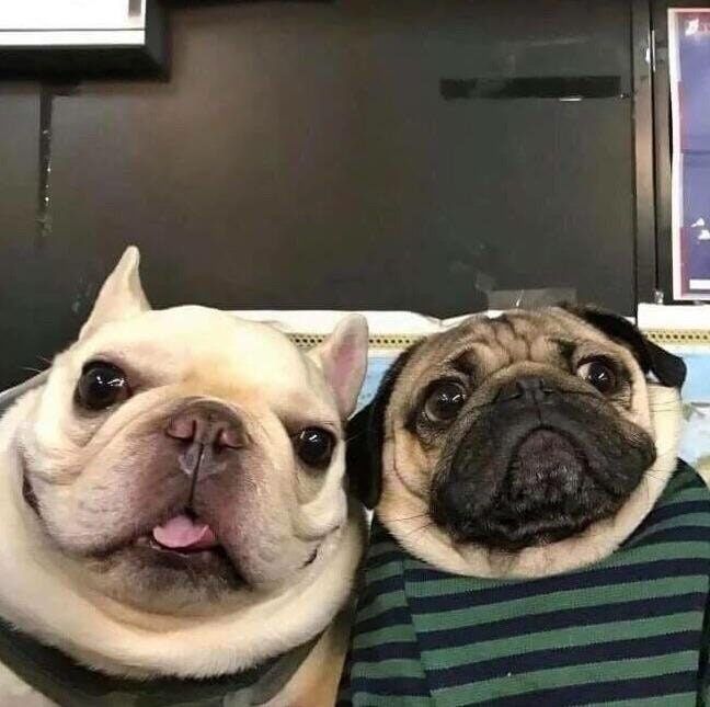 When you take picture with your boyfriend.