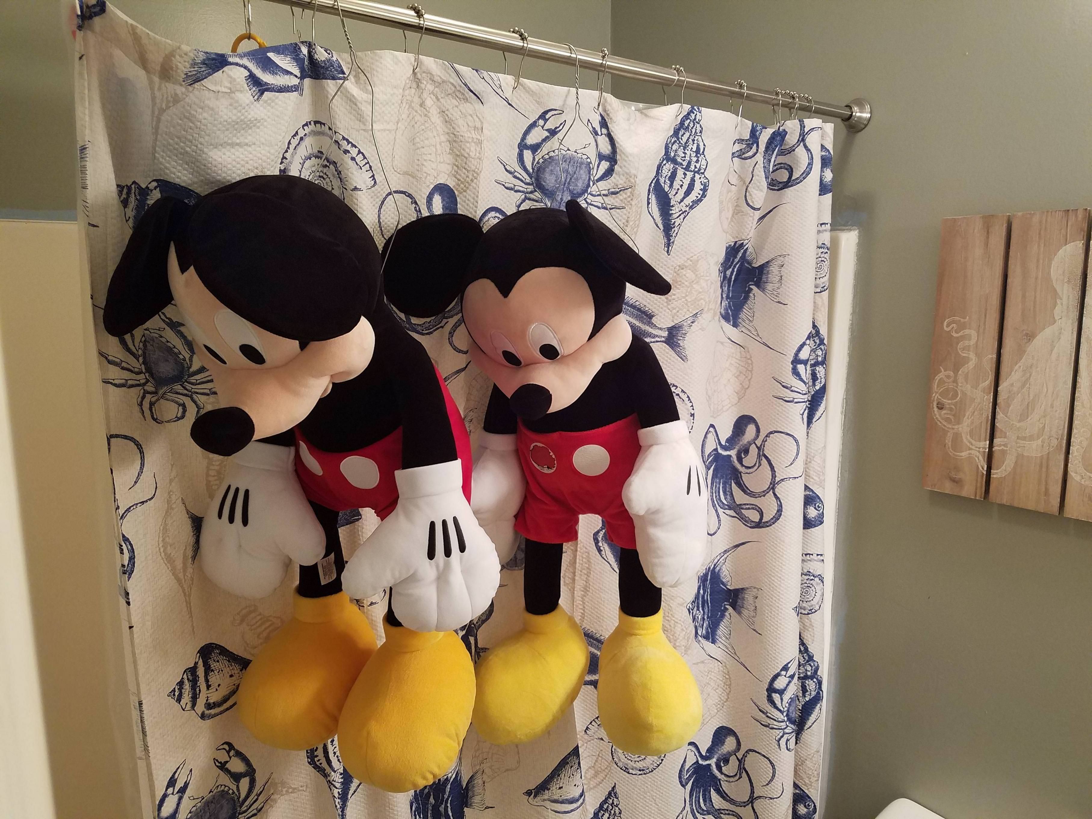 Walked into bathroom where my wife was air drying my son's Mickey dolls. I call it Mickey Mouse Slaughter House.