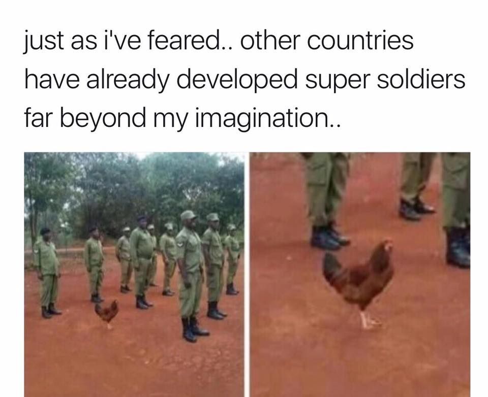 French Army