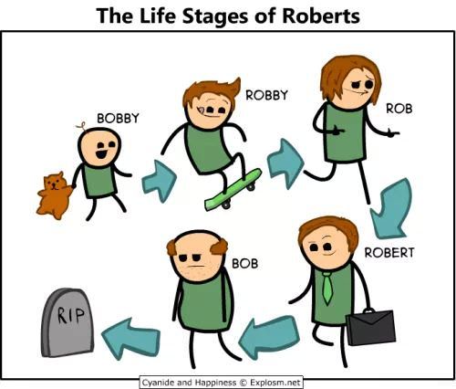 Life of Robert