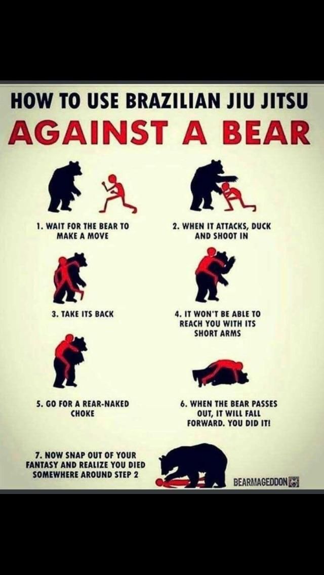 How to use Brazilian Jiu Jitsu AGAINST A BEAR.